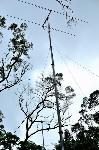 6M Antenna