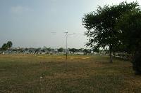 Picture13315024