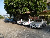 Picture13214825