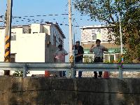 Picture13214828