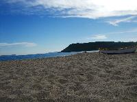 BP0A 2013