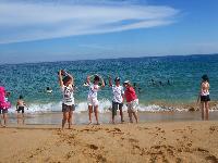 BP0A 2013