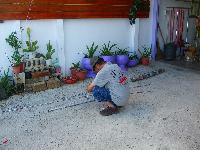 BP0A 2013