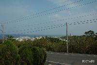 椰林度假村街景